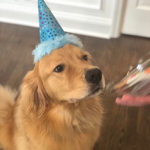 Meet your Posher, Patricia